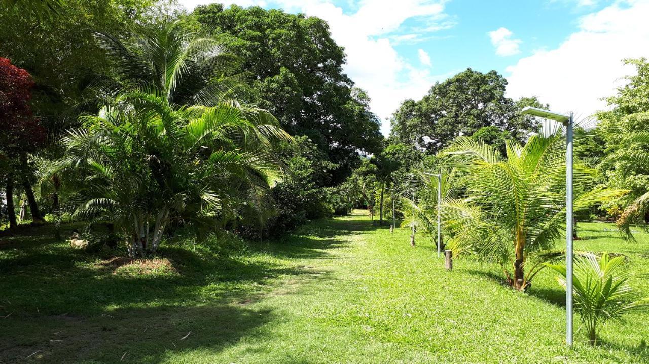 Coconut Tarapoto - Eco Resort Exterior foto