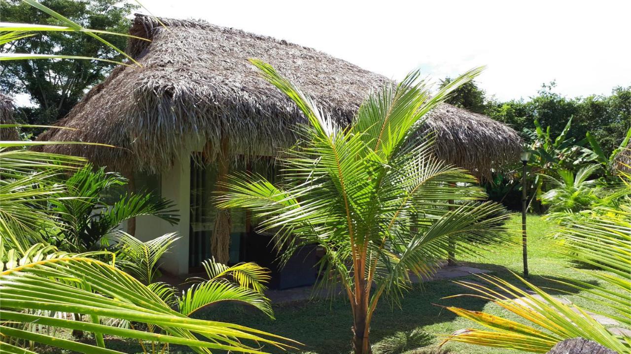 Coconut Tarapoto - Eco Resort Exterior foto